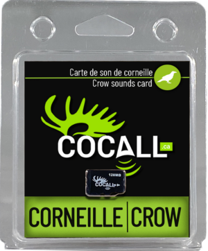 Carte de sons de corneille