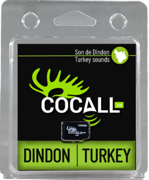Carte de sons de dindon sauvage